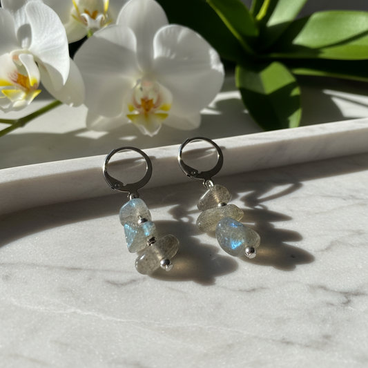 "Pick Me" Earrings - Labradorite